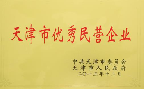 天津市優(yōu)秀民營(yíng)企業(yè)